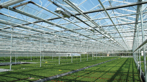 AmericanHort’s Production Technology Conference To Debut In October