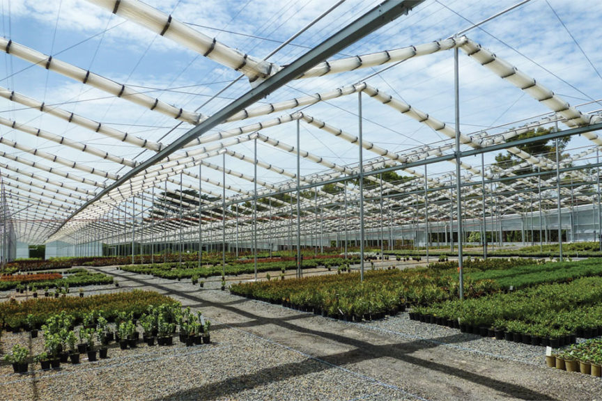 X-Frame Retractable Roof Greenhouse And Shadehouse (Cravo)