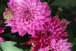California Spring Trials: Day Three