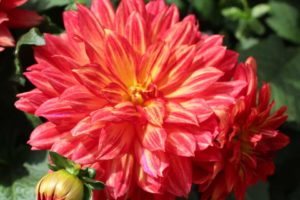 Day Four - California Spring Trials 2017