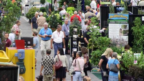 Some Ornamentals Events Moving to 2021, Others Going Virtual