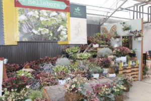Day 2 - California Spring Trials 2017