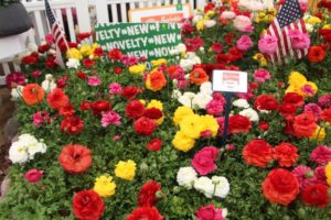 2017 California Spring Trials