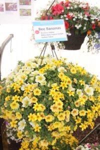2017 California Spring Trials