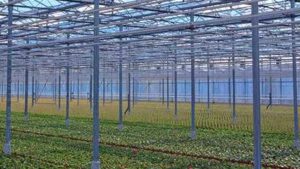 How to Trial a New Product Before You Use It in Your Greenhouse