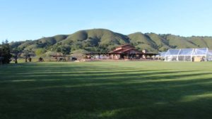 California Spring Trials Day One – New Plant Varieties from Danziger, Syngenta, and Proven Winners