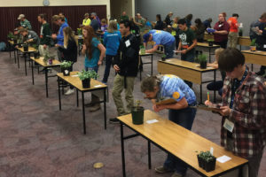 Invest in the Industry: Encourage the Next Generation of Horticulturists