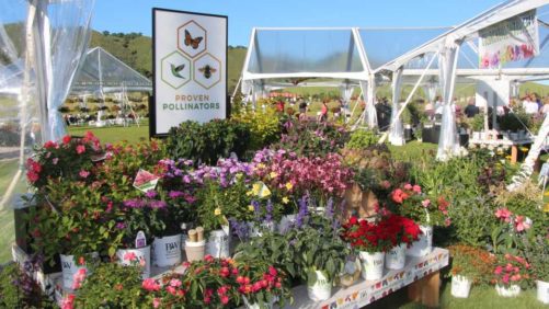 Proven Winners and Kentucky Nursery and Landscape Association to Partner on Summer Outing