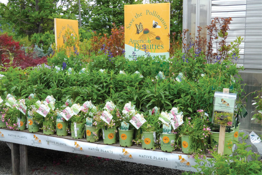 Prides Corner Farms