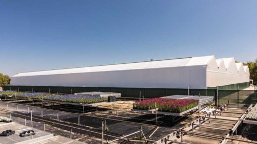 A Look Inside Florida’s Newest Cannabis Cultivation Facility