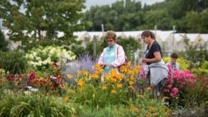 Bailey Nurseries Expo to Take Place in Late July in Minnesota