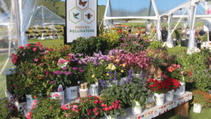 Why Consumers Buy Pollinator-Friendly Plants (And Why They Don’t)