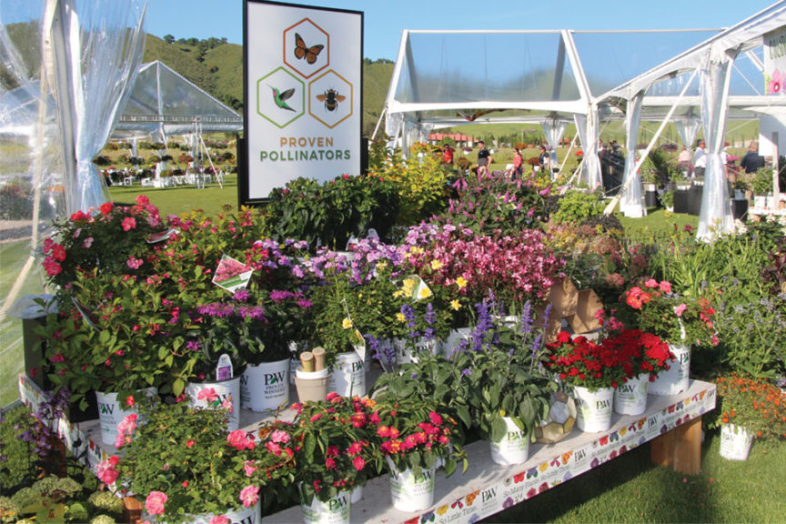 CAST 2017: Retail and Marketing Displays