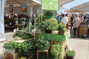 CAST 2017: Retail and Marketing Displays