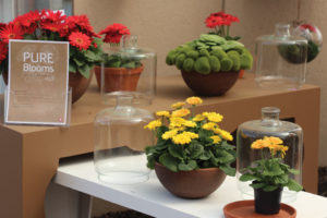 CAST 2017: Retail and Marketing Displays