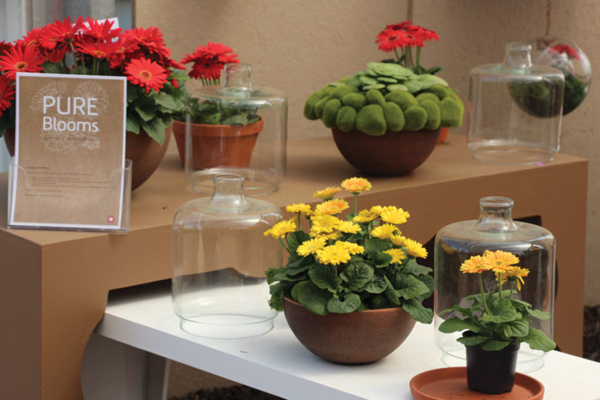CAST 2017: Retail and Marketing Displays
