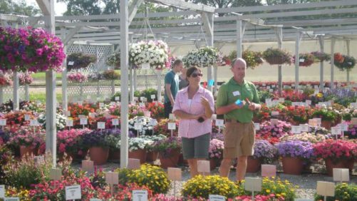 Plantpeddler Hosting Variety Day on Aug. 4 in Cresco, IA