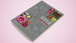 Ball Seed’s 2018 New Varieties Catalog Now Available