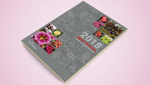 Ball Seed’s 2018 New Varieties Catalog Now Available