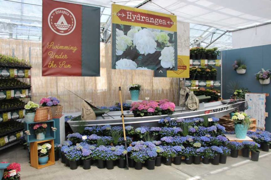 CAST 2017: Retail and Marketing Displays
