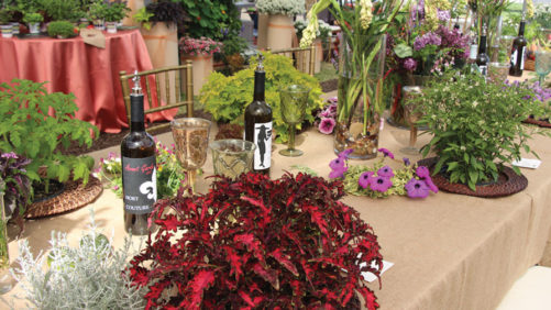 New Marketing and Retail Display  Ideas to Boost Your Plant Sales