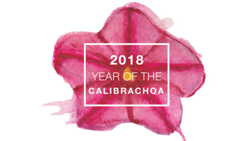 National Garden Bureau Announces Featured Plants for its “Year of the” Program