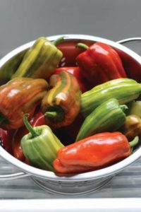 Pepper 'Candy Cane Red' (PanAmericanSeed)