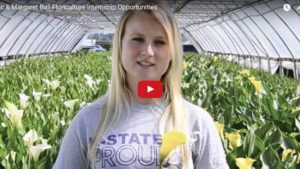 Looking to Host an Intern This Year? Consider AFE’s Scholarship Program