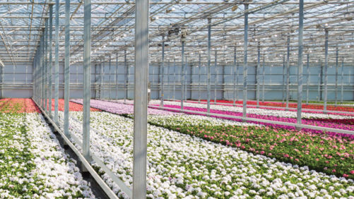 Vineland Now Offering Biologicals Research Service