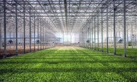 Greenhouse Company Earns Spot on Inc. 500 Rankings
