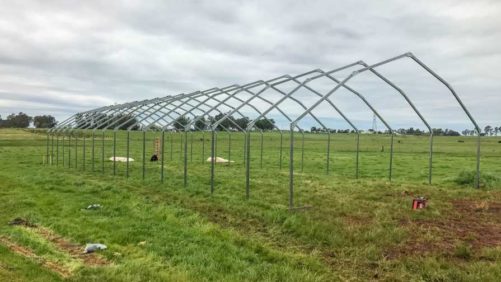Cannabis Greenhouse and Automation Supplier Has Strong Second Quarter