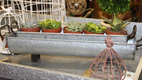 7 Popular Retail Trends from the 2017 IGC Show