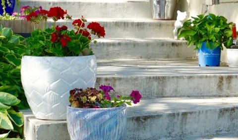 14 Consumer Gardening Trends That Have Stood the Test of Time