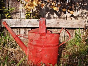 Trend #3: Imperfect Gardening