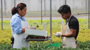 Top Careers Plant Lovers Should Consider