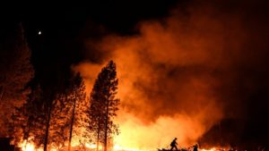 Is Indoor Ag the Answer To Mitigate Crop Damage From Wildfires?