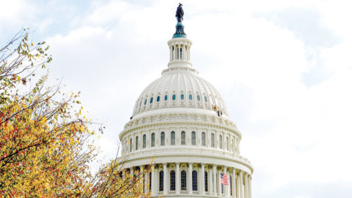 Trump Administration and Floriculture: Labor and Tariff Policy Updates