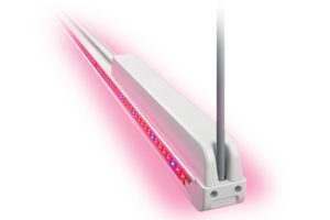GreenPower LED Interlighting Module (Philips Lighting)