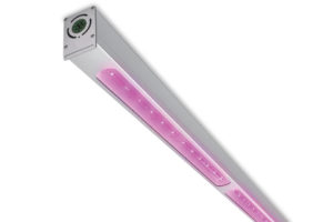 GreenPower LED Toplighting (Philips Lighting)