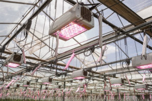 LX60 Series (Heliospectra)