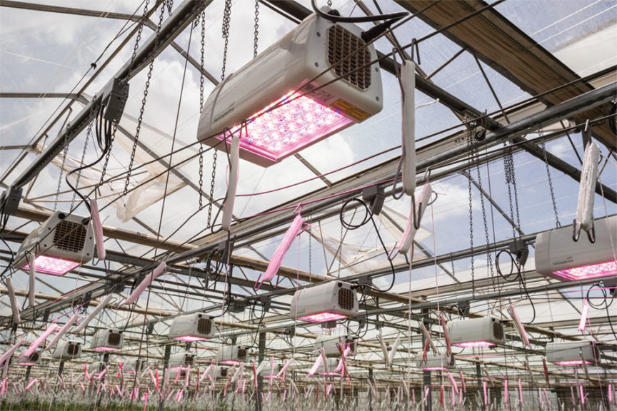 LX60 Series (Heliospectra)
