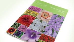 Green Leaf Plants New Catalog is Now Available