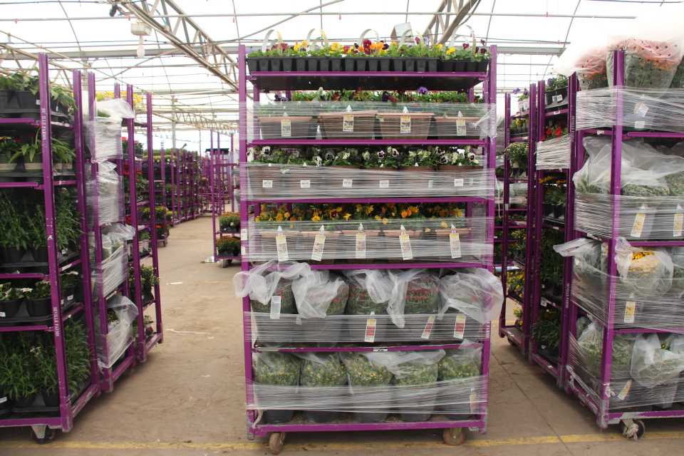 Seville Farms Plant Display