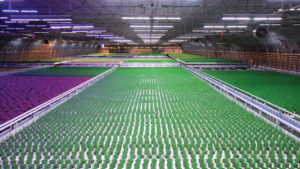 Lighting Innovator Fluence Bioengineering Acquired by Osram