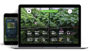 Gamechanger: How Artificial Intelligence Works in the Greenhouse