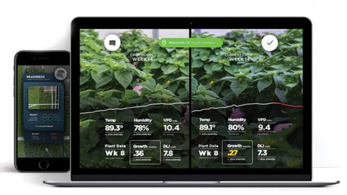 Gamechanger: How Artificial Intelligence Works in the Greenhouse