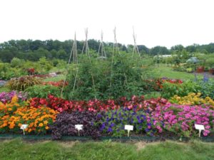2017 Cornell University Field Trials