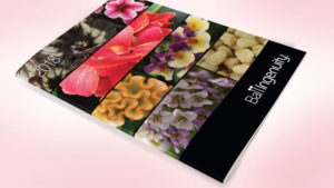 Ball Seed Releases New Mums, Ball Ingenuity Catalogs