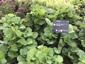 2017 Missouri Botanical Garden Field Trials