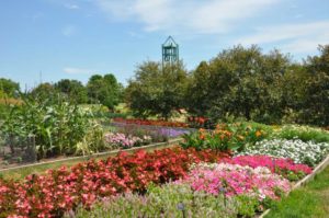 2017 Reiman Gardens, Iowa State University Field Trials